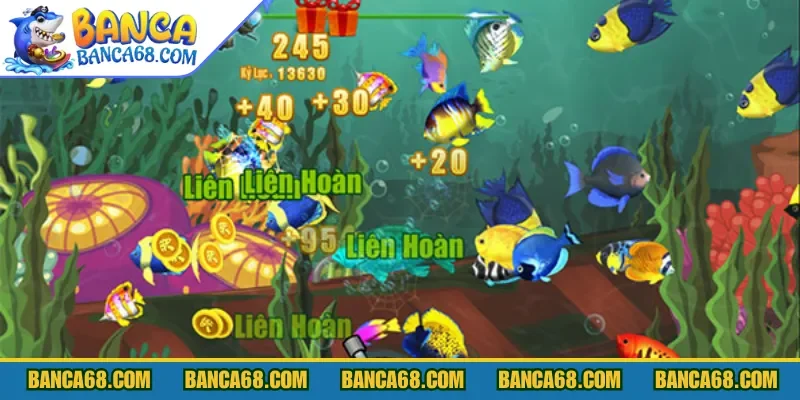 Phòng trung cấp bắn cá Ngôi Sao thiết lập dãy cược cao hơn